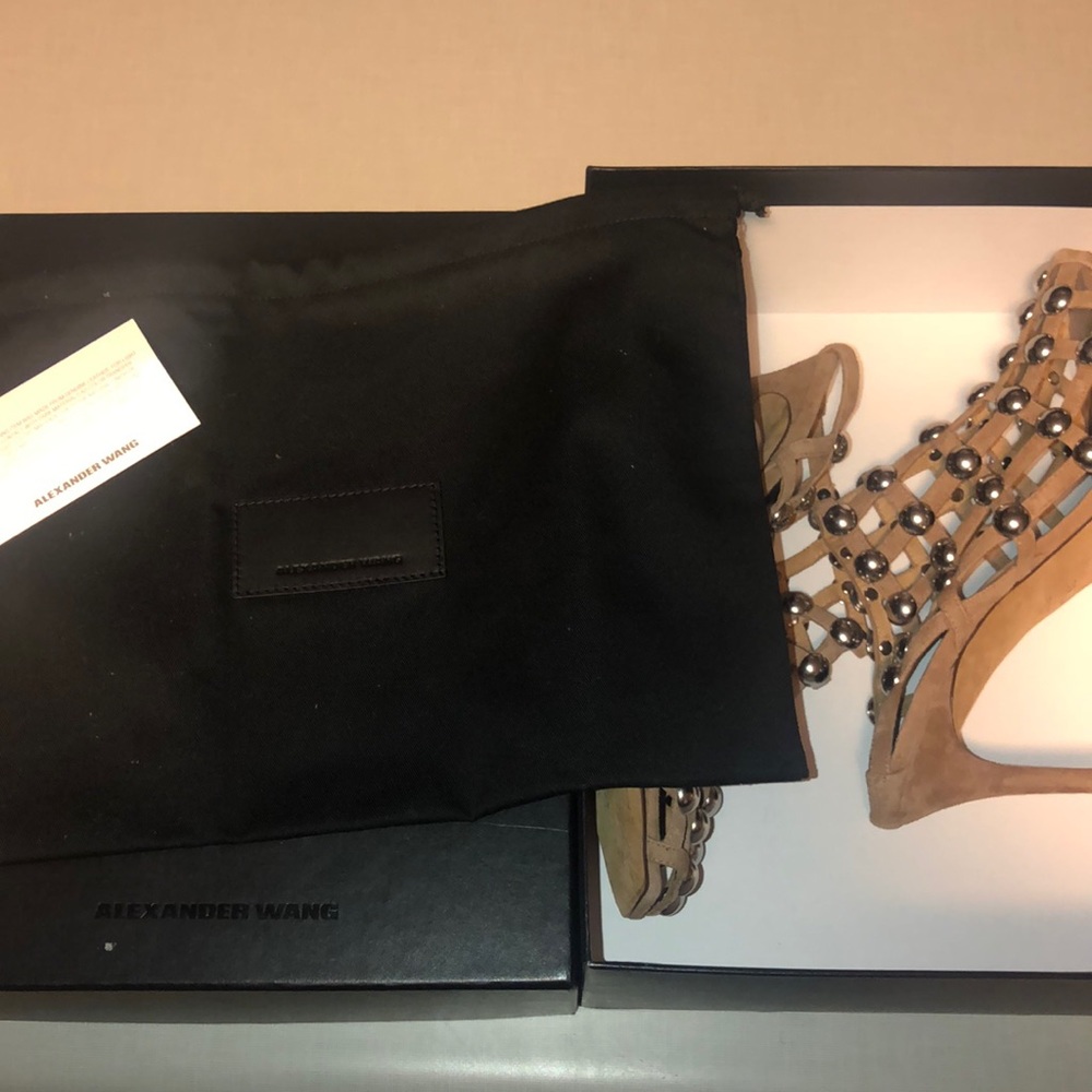 Alexander Wang Slip In